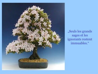 „ Seuls les grands sages et les ignorants restent immuables.“ 