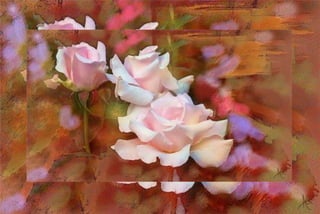 Pensiero D'amore  (Alberto Guillen's flower paintings) 