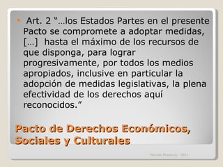 Pacto de Derechos Económicos, Sociales y Culturales Art. 2 “…los Estados Partes en el presente Pacto se compromete a adoptar medidas, […]  hasta el máximo de los recursos de que disponga, para lograr progresivamente, por todos los medios apropiados, inclusive en particular la adopción de medidas legislativas, la plena efectividad de los derechos aquí reconocidos.” Marcelo Brasburg - 2011 
