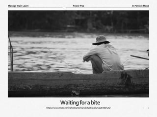 6
|
In Pensive Mood
Manage Train Learn Power Pics
Waitingforabite
https://www.flickr.com/photos/tomandellystravels/5128483426/
 