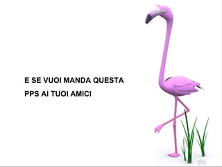 E SE VUOI MANDA QUESTA PPS AI TUOI AMICI 