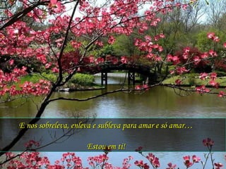 E nos sobreleva, enleva e subleva para amar e só amar…   Estou em ti! 