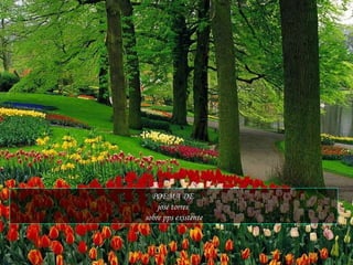 POEMA DE  josé torres  sobre pps existente 