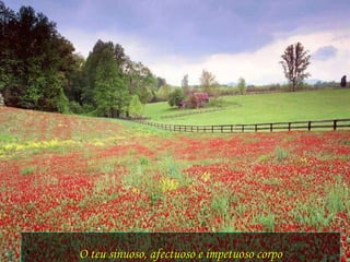 O teu sinuoso, afectuoso e impetuoso corpo 