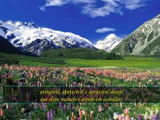 atingível, apetecível e aprazível desejo que elejo, manejo e arpejo em acórdãos . 