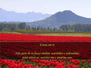 Estou em ti. Não paro de te fazer sonhar, acarinhar e redesenhar, para servir-te, servires-me e amarmo-nos, 