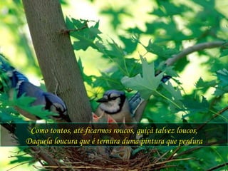 Como tontos, até ficarmos roucos, quiçá talvez loucos, Daquela loucura que é ternura duma pintura que perdura 