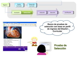 Inscripción Ejecución Diseño Curricular Desarrollo Curricular Inducción Certificación Registro Prueba de Selección  Banco de pruebas de selección con base en perfil de ingreso del Diseño Curricular Selección 