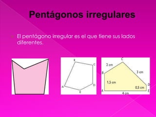 Pentágonos irregulares

   El pentágono irregular es el que tiene sus lados
    diferentes.
 