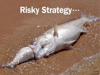 Risky Strategy…
 