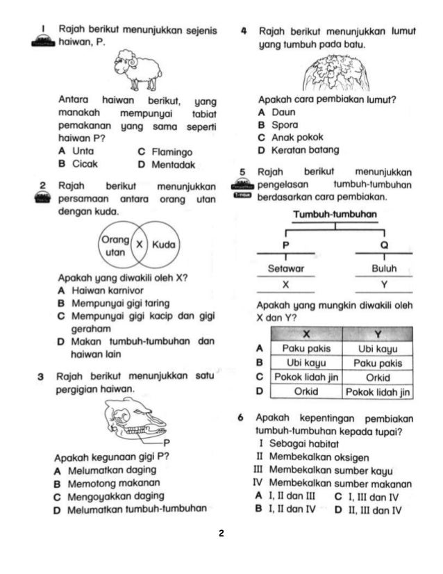 Soalan Akhir Tahun Sains Tahun 3