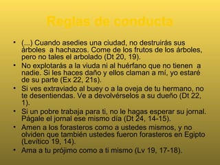 Levítico: Wayiqrá
• En hebreo el libro del
Levítico se llama
Wayiqrá (= «y
llamó»).
• El Levítico era el
manual de los
levitas.
• Los levitas, miembros
de la tribu de Leví,
eran encargados del
culto.
 