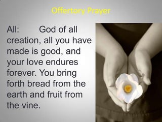 Offertory Prayer
All:
God of all
creation, all you have
made is good, and
your love endures
forever. You bring
forth bread from the
earth and fruit from
the vine.

 
