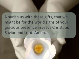 Nourish us with these gifts, that we
might be for the world signs of your
gracious presence in Jesus Christ, our
Savior and Lord. Amen.

 