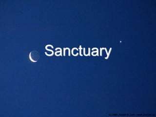 Sanctuary

 