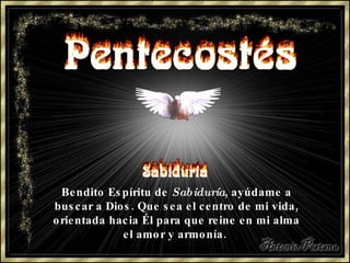 Bendito Espíritu de  Sabiduría , ayúdame a buscar   a Dios. Que sea el centro de mi vida, orientada hacia Él para que reine en mi alma el amor y armonía.  