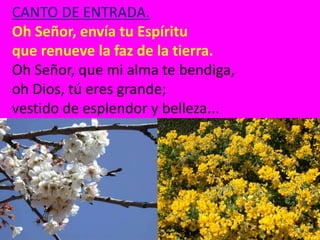 CANTO DE ENTRADA.
Oh Señor, envía tu Espíritu
que renueve la faz de la tierra.
Oh Señor, que mi alma te bendiga,
oh Dios, ...