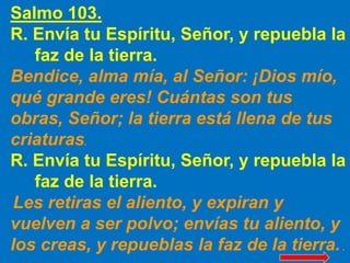 Salmo 103.
R. Envía tu Espíritu, Señor, y repuebla la
faz de la tierra.
Bendice, alma mía, al Señor: ¡Dios mío,
qué grande...