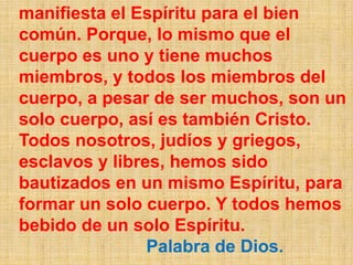 manifiesta el Espíritu para el bien
común. Porque, lo mismo que el
cuerpo es uno y tiene muchos
miembros, y todos los miembros del
cuerpo, a pesar de ser muchos, son un
solo cuerpo, así es también Cristo.
Todos nosotros, judíos y griegos,
esclavos y libres, hemos sido
bautizados en un mismo Espíritu, para
formar un solo cuerpo. Y todos hemos
bebido de un solo Espíritu.
                Palabra de Dios.
 