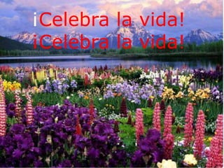 ¡Celebra la vida!
¡Celebra la vida!
 