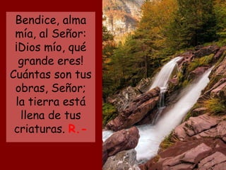 Bendice, alma
mía, al Señor:
¡Dios mío, qué
grande eres!
Cuántas son tus
obras, Señor;
la tierra está
llena de tus
criaturas. R.-
 