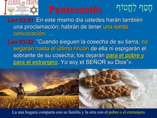 Pentecostés
Lev 23:21 En este mismo día ustedes harán también
una proclamación; habrán de tener una santa
convocación. …
Lev 23:22 ”Cuando sieguen la cosecha de su tierra, no
segarán hasta el último rincón de ella ni espigarán el
sobrante de su cosecha; los dejarán para el pobre y
para el extranjero. Yo soy el SEÑOR su Dios”».
La una hogaza comparta con su familia y la otra con el pobre o el extranjero
 
