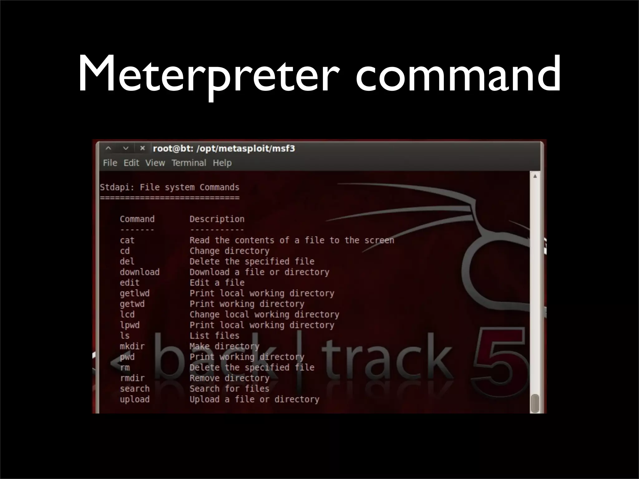 Meterpreter command
 