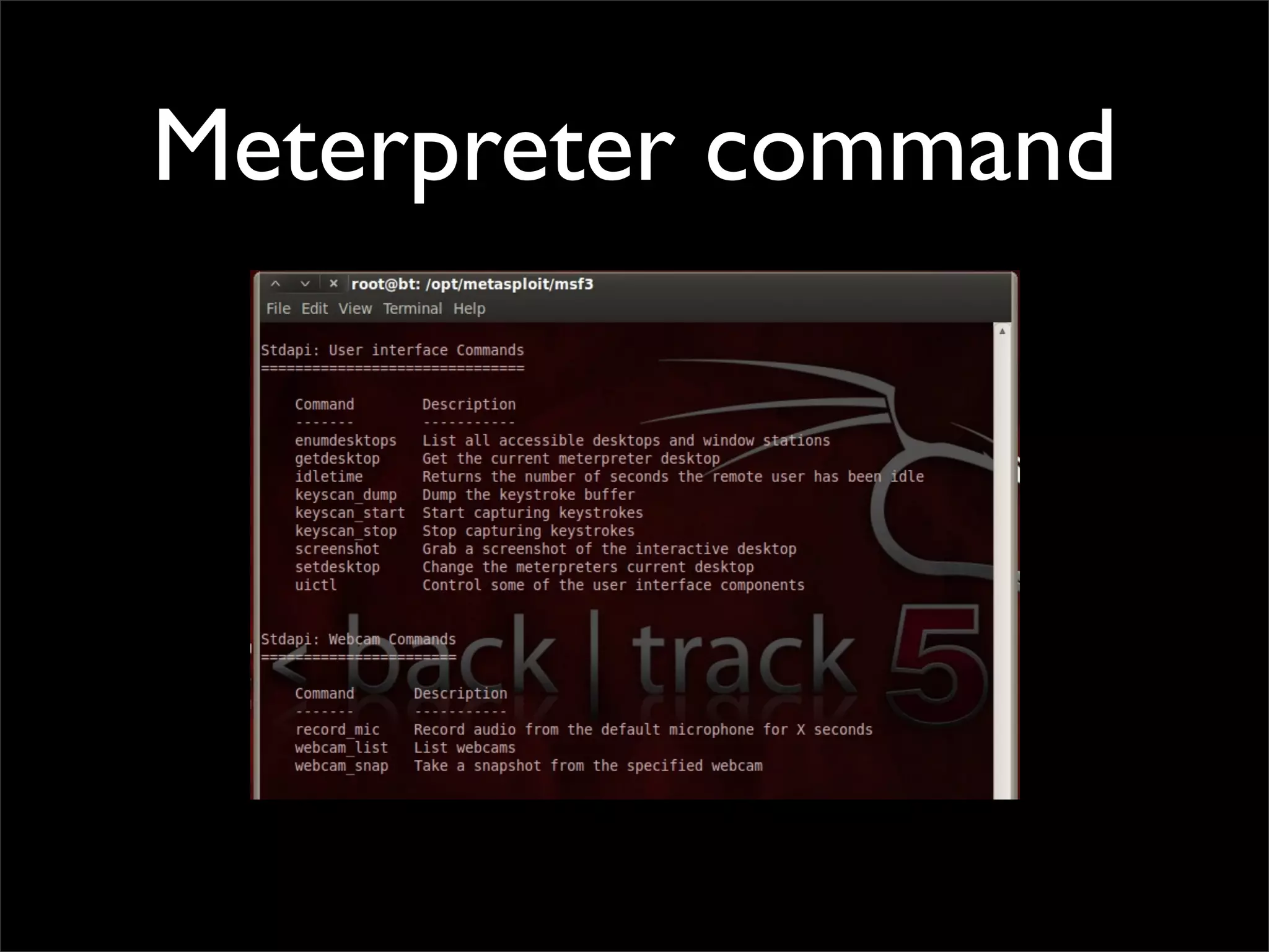 Meterpreter command
 