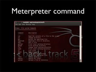 Meterpreter command
 