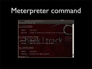 Meterpreter command
 