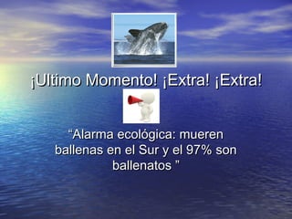 ¡Ultimo Momento! ¡Extra! ¡Extra!¡Ultimo Momento! ¡Extra! ¡Extra!
““Alarma ecológica: muerenAlarma ecológica: mueren
ballenas en el Sur y el 97% sonballenas en el Sur y el 97% son
ballenatos ”ballenatos ”
 