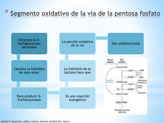 * 
Entonces la 6- 
fosfogluconato 
lactonasa 
Cataliza la hidrólisis 
de este ester 
Para producir 6- 
Fosfocluconato 
La porción oxidativa 
de la vía 
La hidrólisis de la 
lactona hace que 
Es una reacción 
exergónica 
Sea unidireccional 
Roskoski R. Bioquímica. (2000).3°edición. Editorial McGRAW HILL. México. 
 