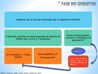 Segmento de la vía más intrincado que el segmento oxidativo 
4 Enzimas catalizan la Interconversión de ésteres de 
fosfato (de 3,4,5,6 y 7 Carbonos) 
En 2 Hexosas y 1 Triosa 
fosfato 
Gliceraldehido-3-P 
Fructuosa-6-P 
Estas enzimas pueden 
convertir 3 moléculas de 
glucosa-6-P 
* 
Glucosa 6 -P 
* Si se lleva a cabo la 
primera fase y se 
requiere continuar a la 
segunda. 
Roskoski R. Bioquímica. (2000).3°edición. Editorial McGRAW HILL. México. 
 