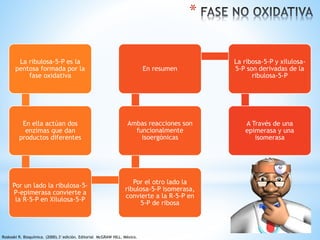 La ribulosa-5-P es la 
pentosa formada por la 
fase oxidativa 
En ella actúan dos 
enzimas que dan 
productos diferentes 
Por un lado la ribulosa-5- 
P-epimerasa convierte a 
la R-5-P en Xilulosa-5-P 
En resumen 
Ambas reacciones son 
funcionalmente 
isoergónicas 
Por el otro lado la 
ribulosa-5-P isomerasa, 
convierte a la R-5-P en 
5-P de ribosa 
La ribosa-5-P y xilulosa- 
5-P son derivadas de la 
ribulosa-5-P 
A Través de una 
epimerasa y una 
isomerasa 
* 
Roskoski R. Bioquímica. (2000).3°edición. Editorial McGRAW HILL. México. 
 