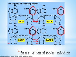 * 
Roskoski R. Bioquímica. (2000).3°edición. Editorial McGRAW HILL. México. 
 