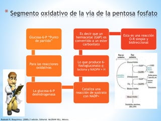 * 
Glucosa-6-P “Punto 
de partida” 
Para las reacciones 
oxidativas 
La glucosa-6-P 
deshidrogenasa 
Es decir que un 
hemiacetal (G6P) es 
convertido a un ester 
carboxilato 
Lo que produce 6- 
fosfogluconato ɖ-lactona 
y NADPH + H 
Cataliza una 
reacción de sustrato 
con NADP+ 
Esta es una reacción 
O-R simple y 
bidireccional 
Roskoski R. Bioquímica. (2000).3°edición. Editorial McGRAW HILL. México. 
 