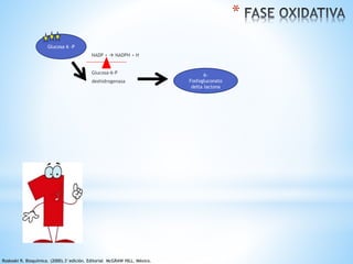 NADP +  NADPH + H 
Glucosa 6 -P 
6- 
Fosfogluconato 
delta lactona 
Glucosa-6-P 
deshidrogenasa 
* 
Roskoski R. Bioquímica. (2000).3°edición. Editorial McGRAW HILL. México. 
 
