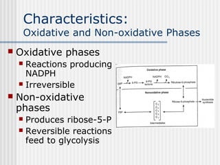 Characteristics:
Oxidative and Non-oxidative Phases
 Oxidative phases
 Reactions producing
NADPH
 Irreversible
 Non-oxidative
phases
 Produces ribose-5-P
 Reversible reactions
feed to glycolysis
 