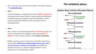 The oxidative phase• Here a molecule loses at least one of its electron. This phase is made up
of 2 irreversible steps:
• Step 1:
• Glucose-6-phosphate is oxidized to form lactone. NADPH is produced as
a by product of this reaction. NADP+ is reduced as glucose-6-phosphate
is oxidized. Following the oxidation of glucose-6-phosphate, another
reaction, catalysed by a different enzyme, uses water to form 6-
phosphogluconate.
• Step 2:
• Next, a carbon is removed (cleaved) and CO2 ​is released. Once again, the
electrons released from this cleavage is used to reduce NADP+ to
NADPH. This new 5-carbon molecule is called ribulose-5-phosphate.
• NADPH is similar in structure and function as the high energy electron
shuttle, NADH. NADPH has an added phosphate group and is used in
the cell to donate its electrons, just like NADH. Once NADPH has
donated its electrons it is said to be oxidized (oxidation = loss of
electrons) and is now symbolized as, NADP+.
 