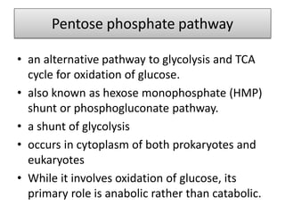 Pentose phosphate pathway
• an alternative pathway to glycolysis and TCA
cycle for oxidation of glucose.
• also known as hexose monophosphate (HMP)
shunt or phosphogluconate pathway.
• a shunt of glycolysis
• occurs in cytoplasm of both prokaryotes and
eukaryotes
• While it involves oxidation of glucose, its
primary role is anabolic rather than catabolic.
 