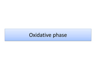 Oxidative phase
 