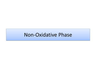 Non-Oxidative Phase
 