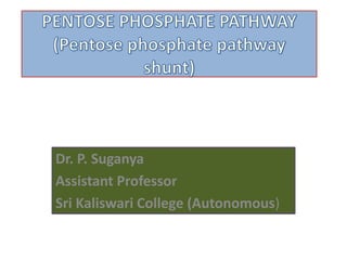 Dr. P. Suganya
Assistant Professor
Sri Kaliswari College (Autonomous)
 