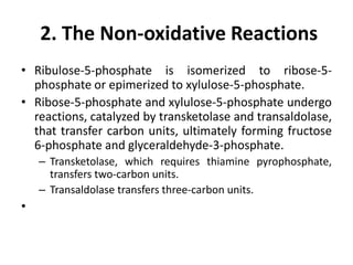 2. The Non-oxidative Reactions
• Ribulose-5-phosphate is isomerized to ribose-5-
phosphate or epimerized to xylulose-5-phosphate.
• Ribose-5-phosphate and xylulose-5-phosphate undergo
reactions, catalyzed by transketolase and transaldolase,
that transfer carbon units, ultimately forming fructose
6-phosphate and glyceraldehyde-3-phosphate.
– Transketolase, which requires thiamine pyrophosphate,
transfers two-carbon units.
– Transaldolase transfers three-carbon units.
•
 