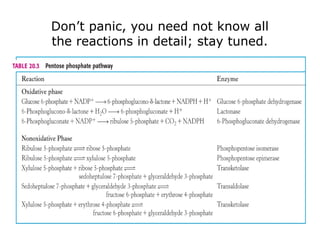 Don’t panic, you need not know all
the reactions in detail; stay tuned.
 