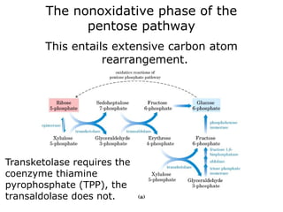 The nonoxidative phase of the
pentose pathway
This entails extensive carbon atom
rearrangement.
Transketolase requires the
coenzyme thiamine
pyrophosphate (TPP), the
transaldolase does not.
 