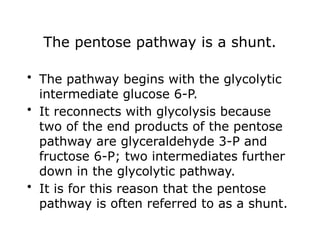 The pentose pathway is a shunt.
• The pathway begins with the glycolytic
intermediate glucose 6-P.
• It reconnects with glycolysis because
two of the end products of the pentose
pathway are glyceraldehyde 3-P and
fructose 6-P; two intermediates further
down in the glycolytic pathway.
• It is for this reason that the pentose
pathway is often referred to as a shunt.
 