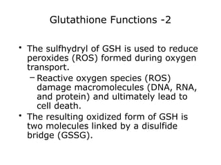 Glutathione Functions -2
• The sulfhydryl of GSH is used to reduce
peroxides (ROS) formed during oxygen
transport.
– Reactive oxygen species (ROS)
damage macromolecules (DNA, RNA,
and protein) and ultimately lead to
cell death.
• The resulting oxidized form of GSH is
two molecules linked by a disulfide
bridge (GSSG).
 