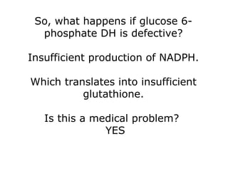 So, what happens if glucose 6-
phosphate DH is defective?
Insufficient production of NADPH.
Which translates into insufficient
glutathione.
Is this a medical problem?
YES
 