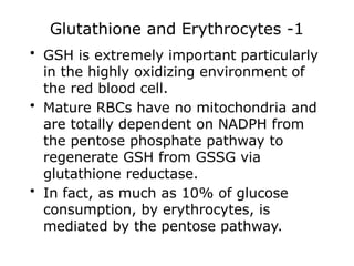 Glutathione and Erythrocytes -1
• GSH is extremely important particularly
in the highly oxidizing environment of
the red blood cell.
• Mature RBCs have no mitochondria and
are totally dependent on NADPH from
the pentose phosphate pathway to
regenerate GSH from GSSG via
glutathione reductase.
• In fact, as much as 10% of glucose
consumption, by erythrocytes, is
mediated by the pentose pathway.
 